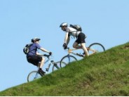 75. Cleeve Hill & Common